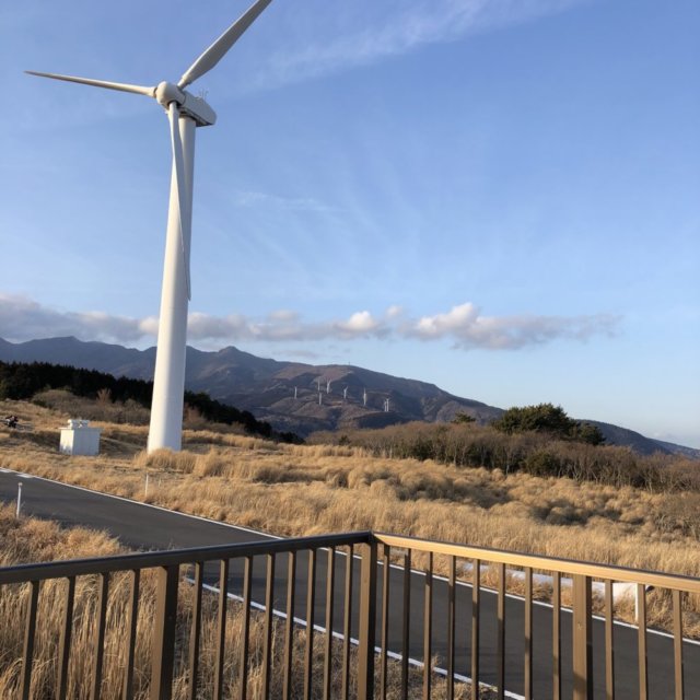 展望台から見た風車